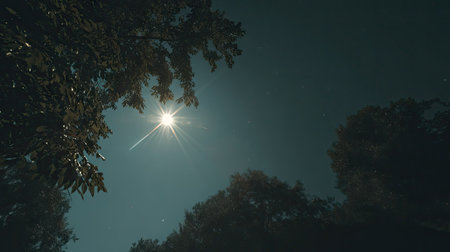 An image captures a bright sun shining through the silhouette of trees. The scene presents a contrast of light and shadow, with a deep blue sky. It can be used in a variety of commercial and editorial contexts. The image displays natural composition and atmospheric lighting.の素材