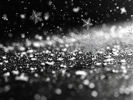 This image showcases intricate snowflakes falling against a dark, contrasting backdrop. The composition highlights the delicate structures in monochrome, with varied textures and soft lighting. It creates a serene atmosphere, suitable for illustrating winter themes, weather reports, and seasonal publications.の素材