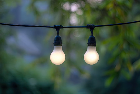 Two glowing light bulbs hang from a wire against a backdrop of blurred green foliage. The scene features soft, diffused lighting with a shallow depth of field. The image is likely used for decorative or illustrative purposes. This image can be used for various commercial or editorial applications.の素材