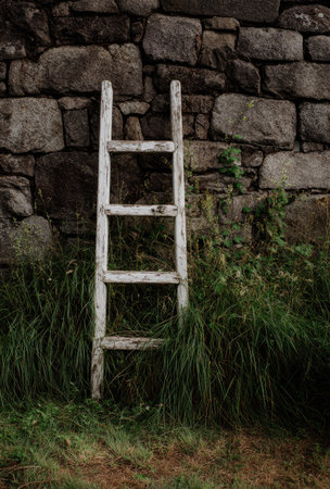 A rustic wooden ladder rests against a rough-hewn stone wall, evoking a sense of history. Lush green vegetation surrounds the ladder and wall, enhancing the natural outdoor scene. The composition is simple, with neutral tones, suitable for various editorial and commercial applications. The image suggests a backdrop of growth and support.の素材