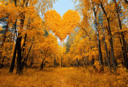 A forest path leads toward a heart-shaped formation of golden leaves, illuminated by warm sunlight. The image showcases the vibrancy of fall with yellow and orange hues dominating the scene. The composition evokes a sense of romance and natural beauty, suitable for various editorial and decorative uses.の素材