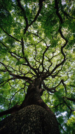 An upward perspective captures a large tree showcasing dense, green foliage against the sky. The image highlights the textured bark and intricate branching patterns. The composition is likely captured outdoors, bathed in natural light. This photograph could be utilized for various commercial purposes, including illustrative content and background applications.の素材