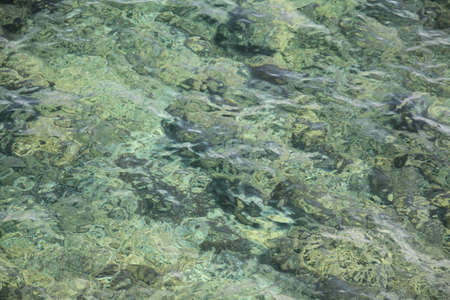 Emerald watersの写真素材