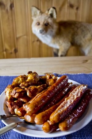Fox grabs the meat dish.の写真素材