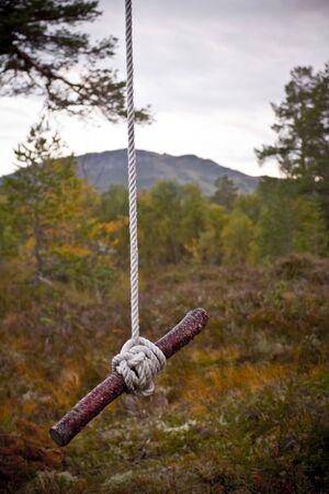 Beautiful self-built nature swing in Norway nature.の写真素材