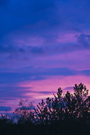 Incredible beautiful cloud formations and colors in the sky, sunset behind trees.の写真素材