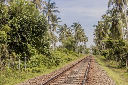 Train tracks and way in Sri Lanka with beautiful tropical landscape.の写真素材