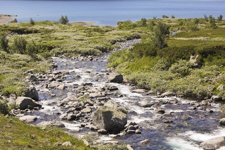 Beautiful Storebott? ? ne river flows into the Vavatn lake. Summer landscape in Hemsedal, Buskerud,...