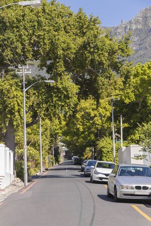 Street in the town of Claremont, Cape Town, South Africa. Sunny weather in the summer.の写真素材