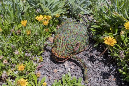 Decorative frog in the garden or flowerbed in the park. Creative gardening.の写真素材