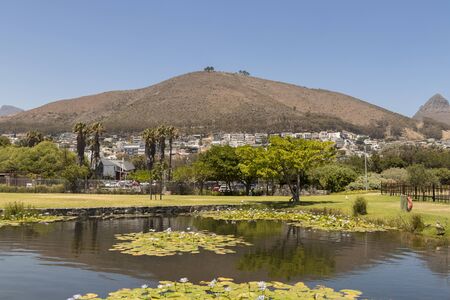 Green Point Park, mountain panorama, beautiful nature in Cape Town, South Africa.の写真素材