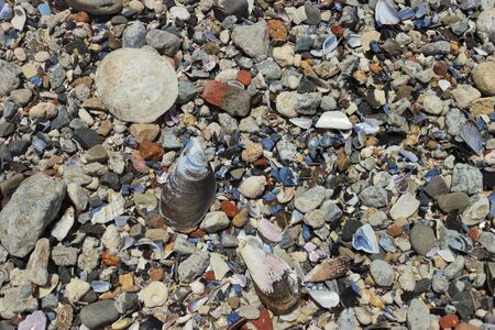 Texture of seashells, beach sand and stones. Sea Point promenade, Cape Town.の写真素材