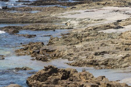 Water, stones and sea cliffs, Sea Point promenade in Cape Town, South Africa. (Texture)の写真素材