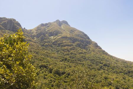 View from Table Mountain National Park in Cape Town, South Africa.の写真素材