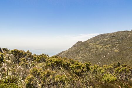 View from Table Mountain National Park in Cape Town, South Africa.の写真素材