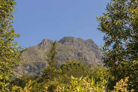 Mountains in the Tablemountain National Park, Cape Town, South Africa. Panorama of forest, blue sky and mountains.の写真素材