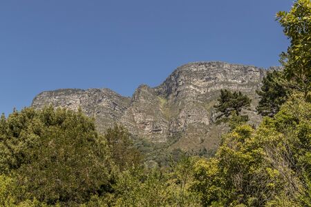 Mountains in the Tablemountain National Park, Cape Town, South Africa. Panorama of forest, blue sky and mountains.の写真素材