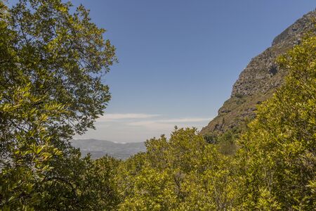 View from Table Mountain National Park in Cape Town, South Africa.
