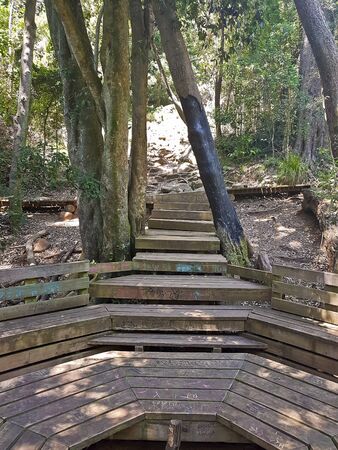 Hiking trail in the Tablemoutain National Park, Cape Town, South Africa.の写真素材