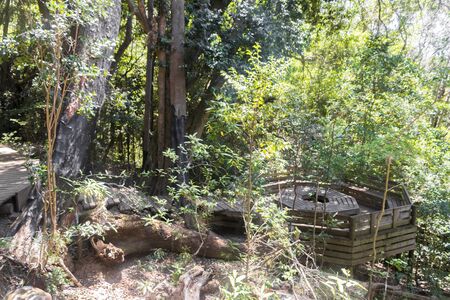 Hiking trail in the Tablemoutain National Park, Cape Town, South Africa.の写真素材