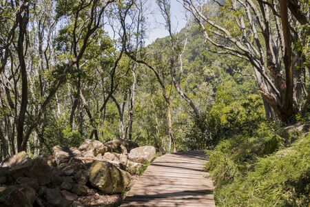 Hiking trail in the Tablemoutain National Park, Cape Town, South Africa.の写真素材