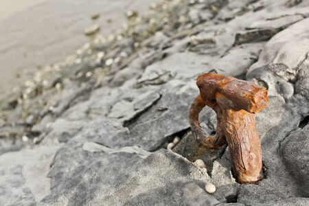 Rusty metal screw hoes on the Butjardingen dyke in Lower Saxony, Germany.の写真素材
