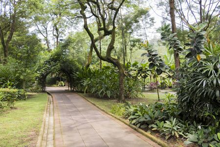 Perfect and clean park Perdana Botanical Gardens in Kuala Lumpur, Malaysia.の写真素材