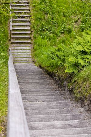 Stairs to nature of Pipinsburg in Germany.
