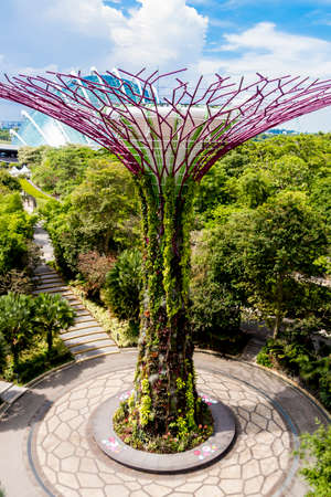 Futuristic Gardens by the Bay and Supertree Grove from above in Singapore.のeditorial素材