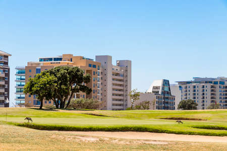 Hotel Facilities Panorama behind golf course in Green Point Park in Cape Town, South Africa, in...