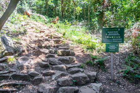 Stony Newlands Ravine hiking trail in the Tablemoutain National Park, Cape Town, South Africa.のeditorial素材