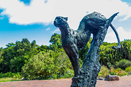 Puma sculpture in Kirstenbosch Botanical Garden in Cape Town.のeditorial素材