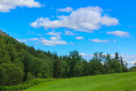 Beautiful Norwegian landscape with trees firs mountains and rocks. Norway Nature.の写真素材