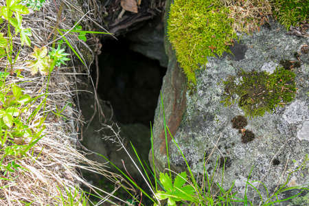 Hole in the rock between stones with moss background.