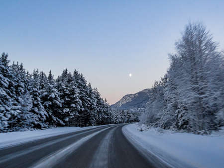 Driving fast at night through mountains and forests in Norway.の写真素材