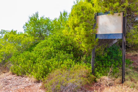 White blank information board sign in the nature of Spain.の写真素材