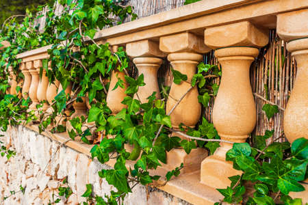 Ivy on the stone railing garden in Mallorca Balearic Islands Spain.