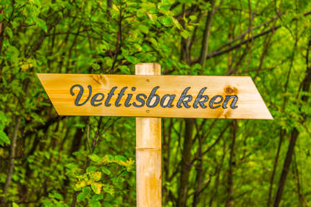 Signposting on the hiking trail in nature and forest landscape in Vettisbakken Utladalen Norway.のeditorial素材