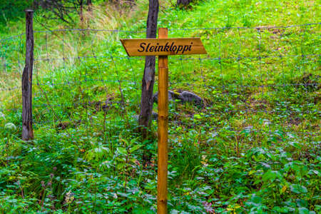 Signposting on the hiking trail in nature and forest landscape in Steinkloppi Utladalen Norway.のeditorial素材