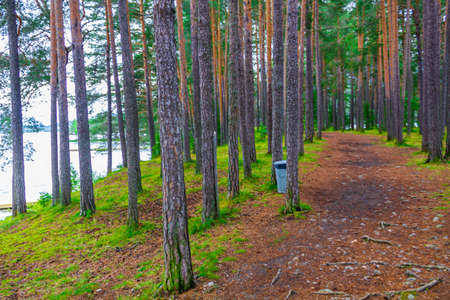 Vesleoye island nature in town Fagernes Fylke Innlandet in Norway.の写真素材