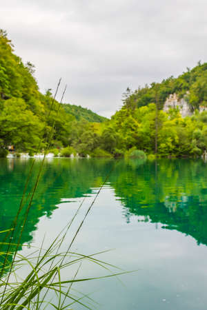 Plitvice Lakes National Park grass in front of turquoise blue and green water in Croatia.の写真素材