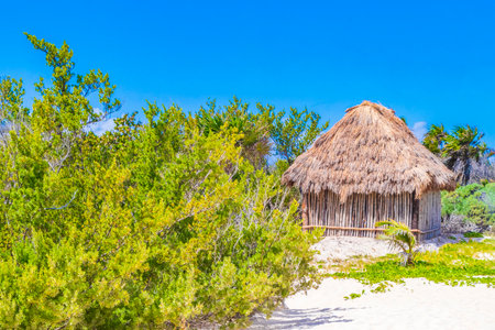 Tropical natural mexican beach 88 with bamboo hut in Playa del Carmen Mexico.の写真素材