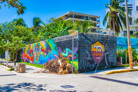 Artistic walls with colorful paintings and graffiti in Playa del Carmen Quintana Roo Mexico.のeditorial素材