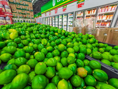Green juicy lime green lime background texture from Playa del Carmen Mexico.の写真素材