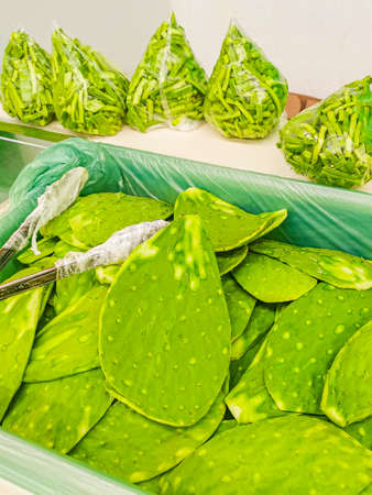 Mexican cactus sliced for food to eat in supermarket Playa del Carmen Mexico green texture.の写真素材