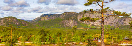 Panorama with fir trees and mountains in nature landscape of Treungen in Nissedal Norway.の写真素材