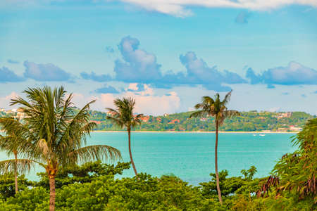 Amazing Koh Samui island beach and landscape panorama with clear turquoise water in Thailand.
