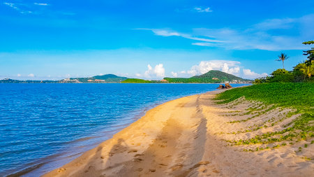 Amazing Koh Samui island beach and landscape panorama in Surat Thani Thailand.