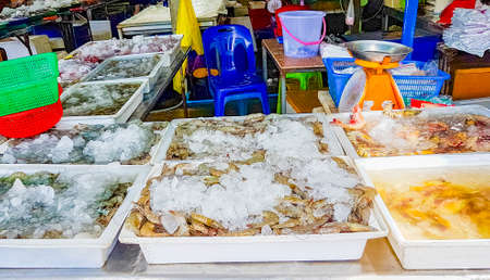 Mussels shrimps and other disgusting seafood Thai food cuisine at Bangrak market on Koh Samui in Thailand.の写真素材
