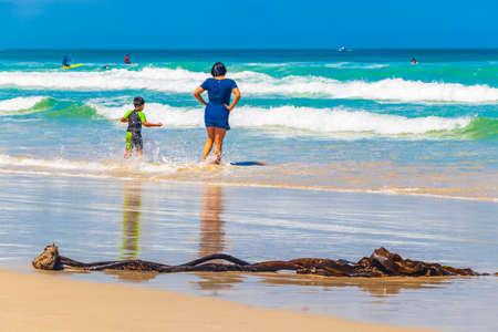 Cape Town South Africa January 21, 2018 People and giant algae in Fish Hoek Beach at False Bay in Cape Town Western Cape South Africa.のeditorial素材